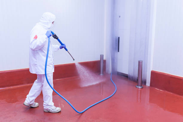 Best Restaurant Pressure Washing  in Center, TX