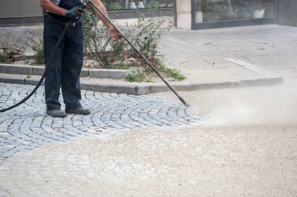 Best Dumpster Area Cleaning  in Center, TX